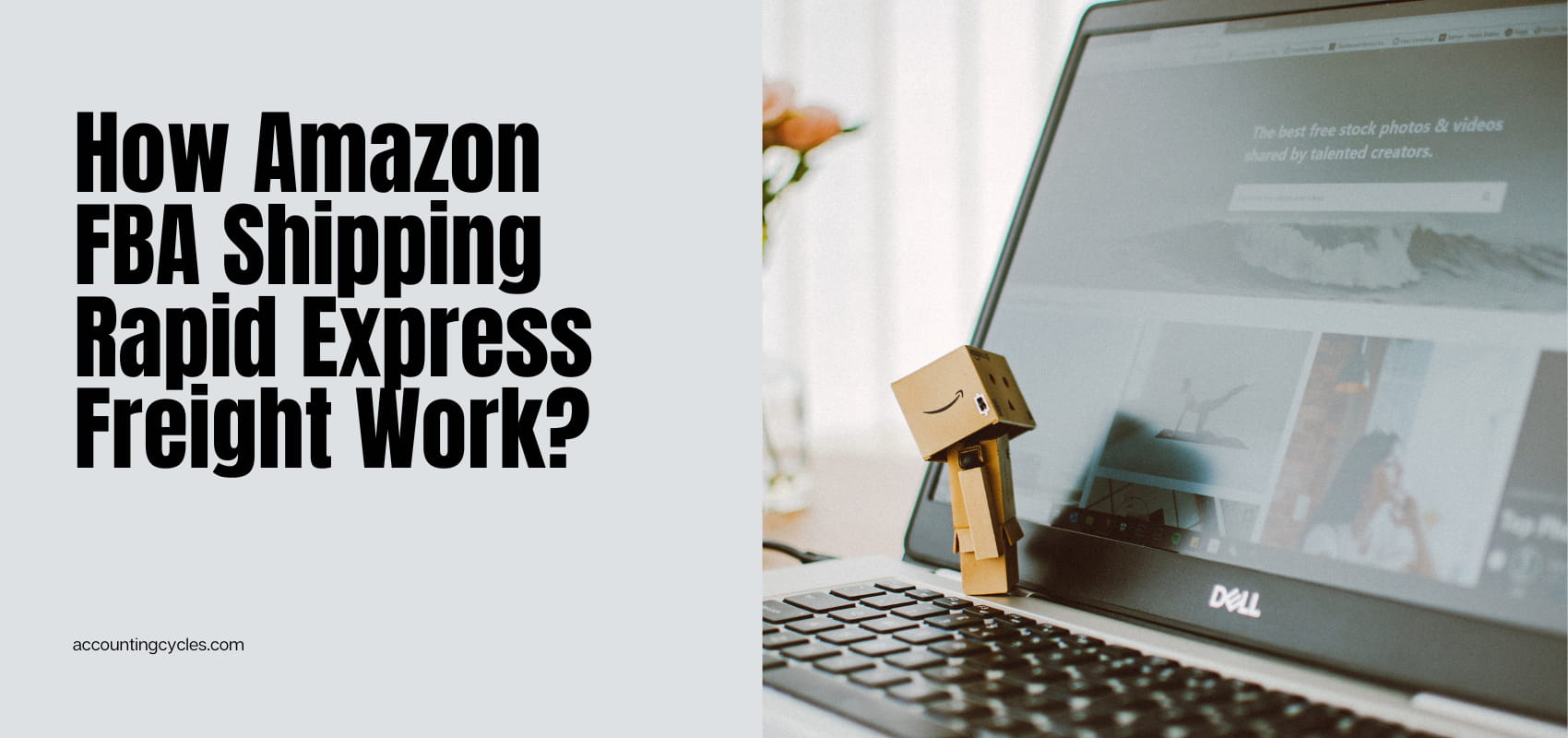 How Amazon FBA Shipping Rapid Express Freight Work?